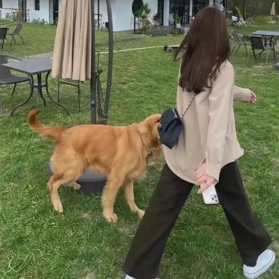孤堡疑云